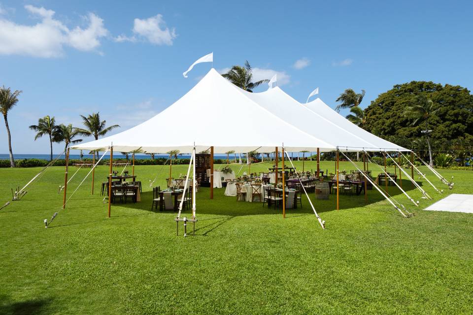 tent rental companies